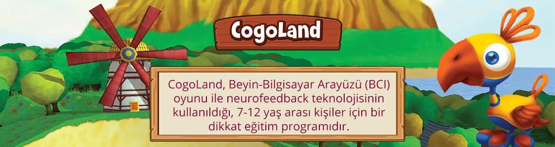 cogoland1
